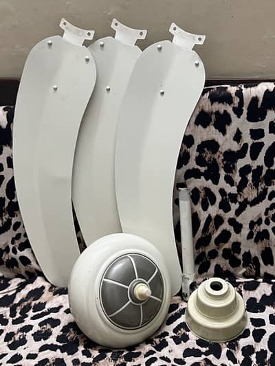 Ceiling Fan