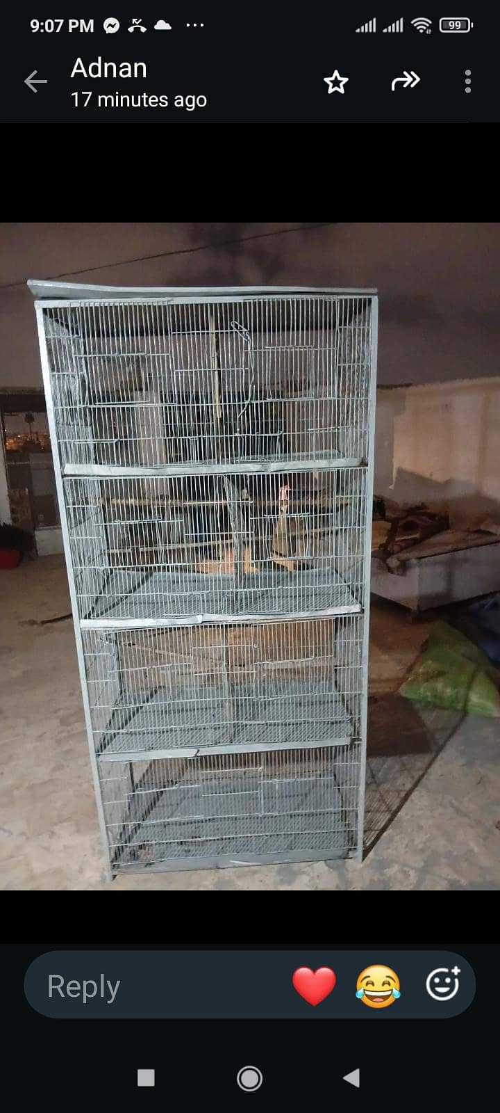 pinjra 1