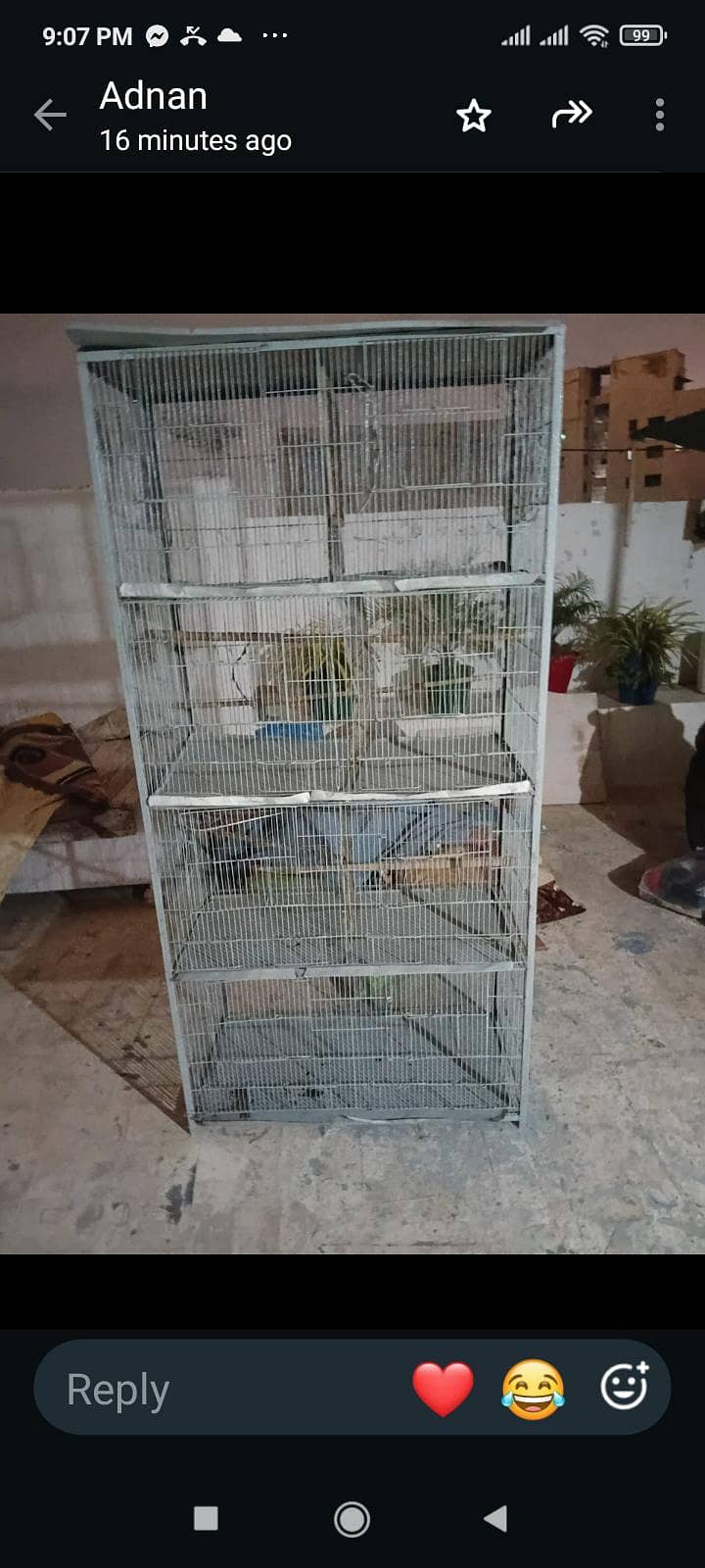 pinjra 3