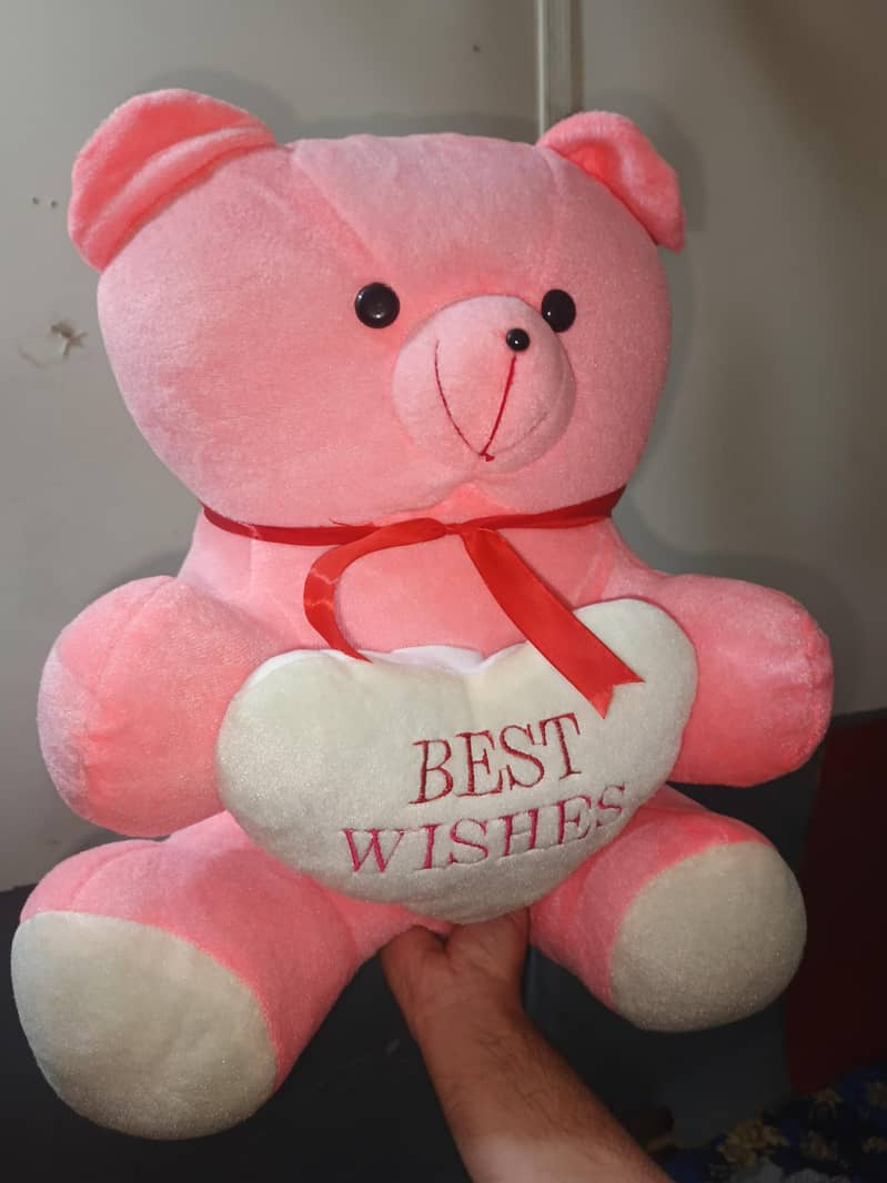 teddy 0