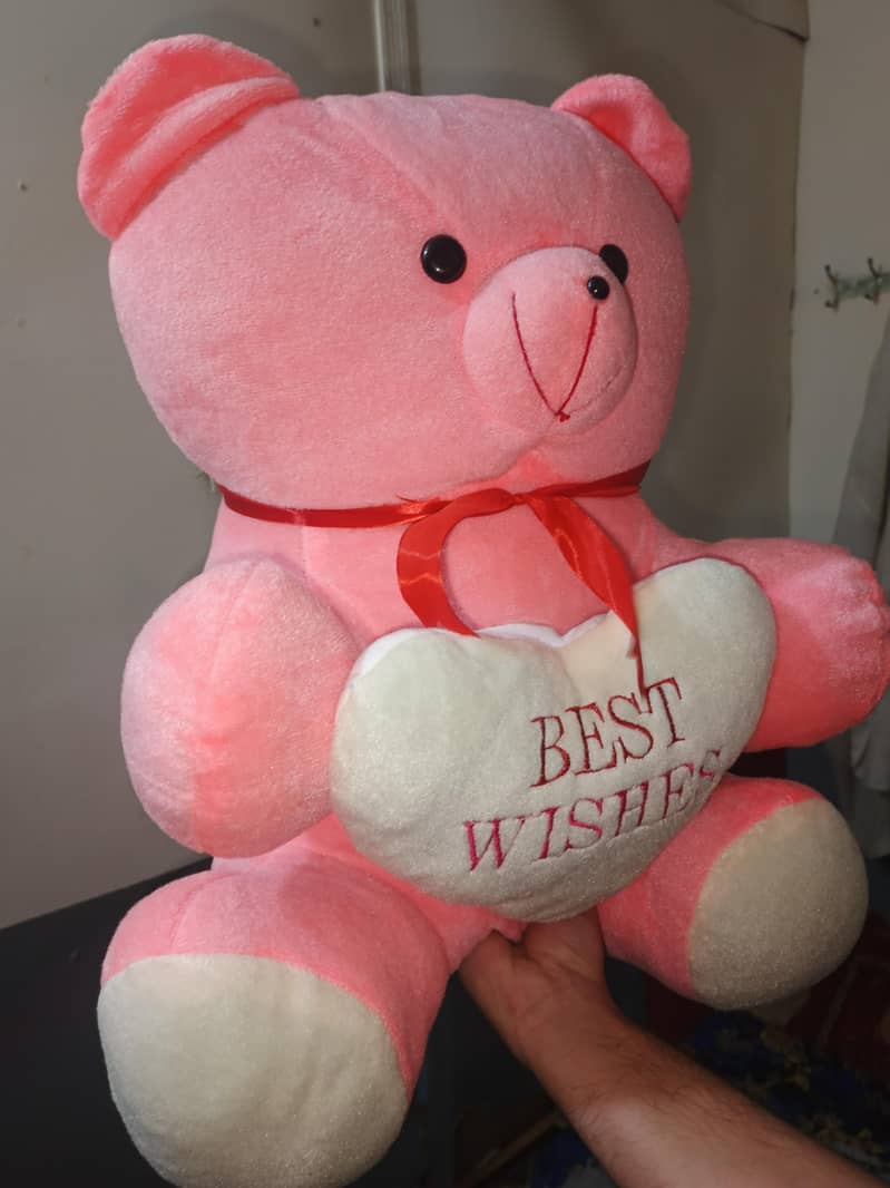 teddy 1