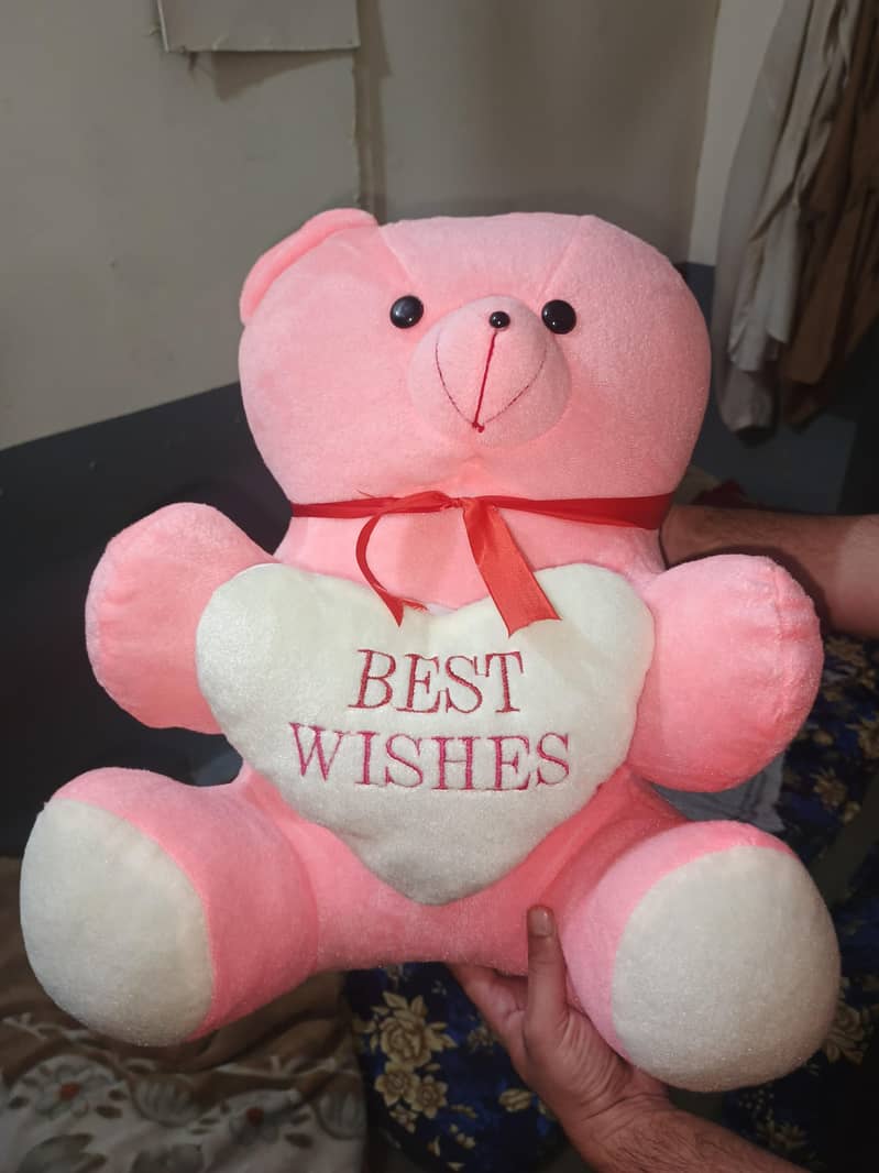 teddy 2