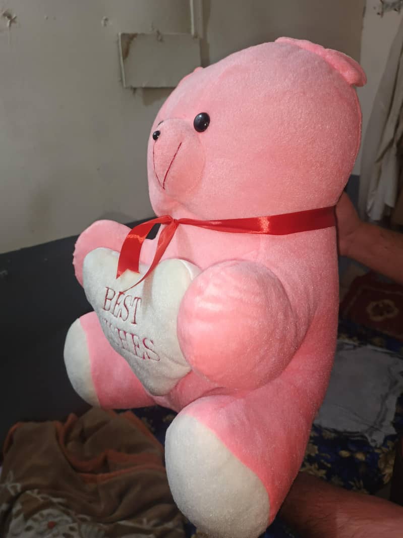 teddy 3
