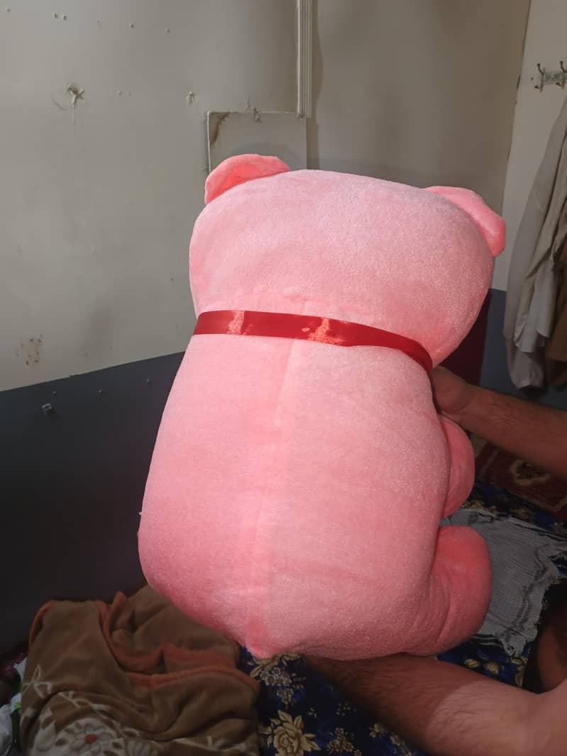 teddy 4