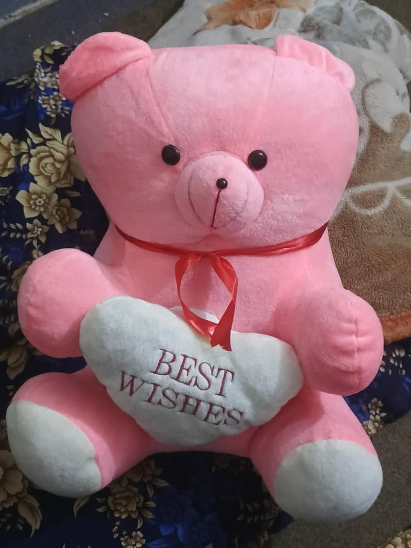teddy 5