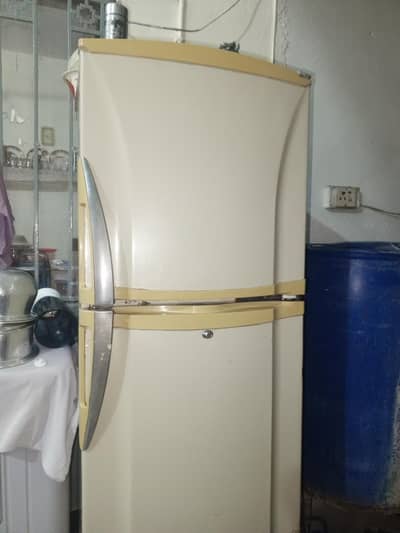 Pel Refrigerator for sale , Fridge for sale ,Freezer for sale