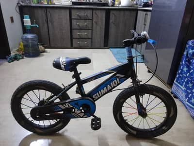 16 Size Bicycle in good condition