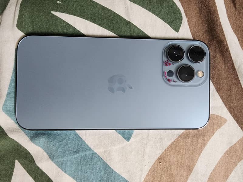 Apple iPhone 13 Pro Max 1