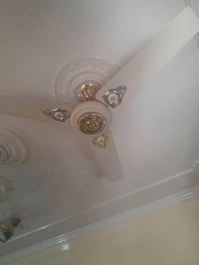 ceiling fan 24"