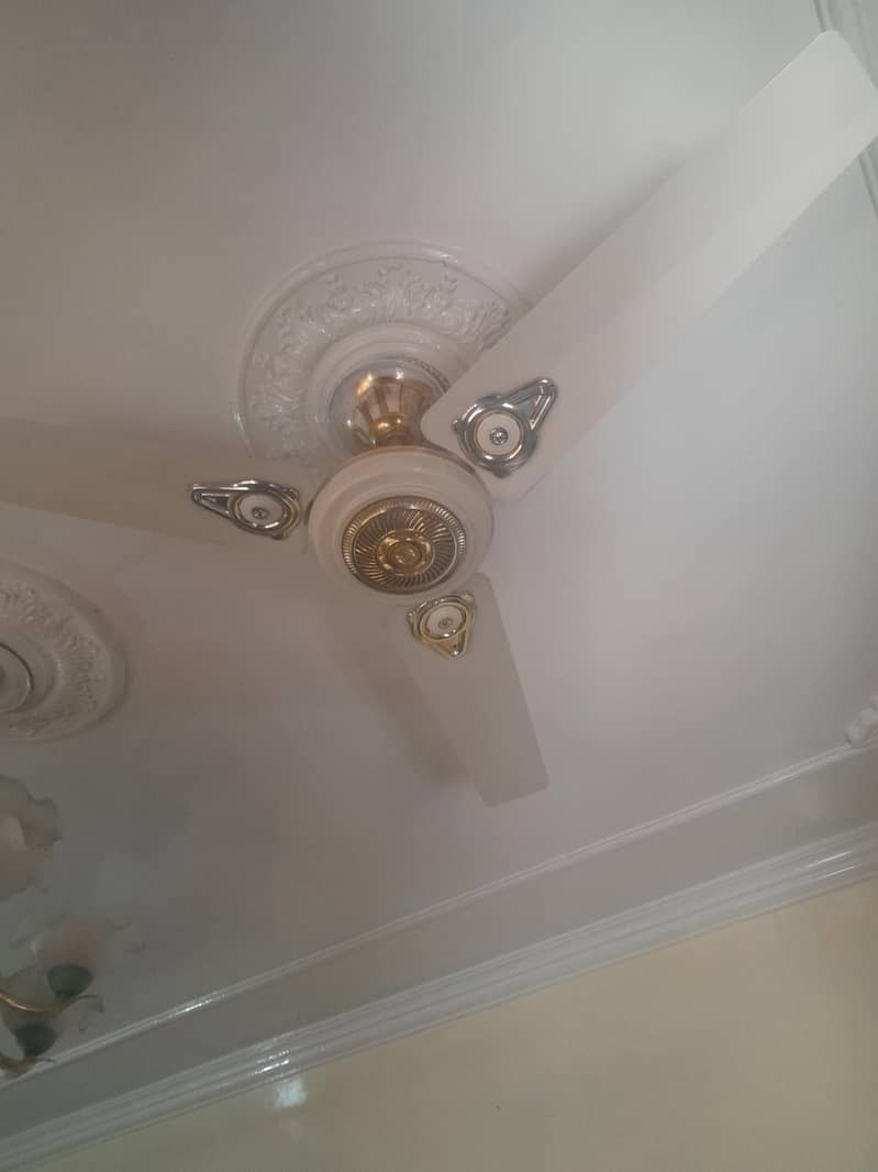 ceiling fan 24" 0