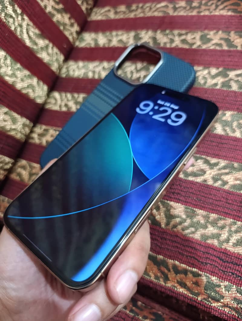 Apple iPhone 16 Pro Max 1