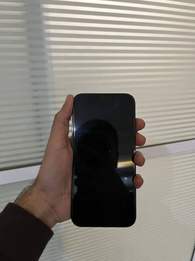 Apple iPhone 12 Pro Max 1