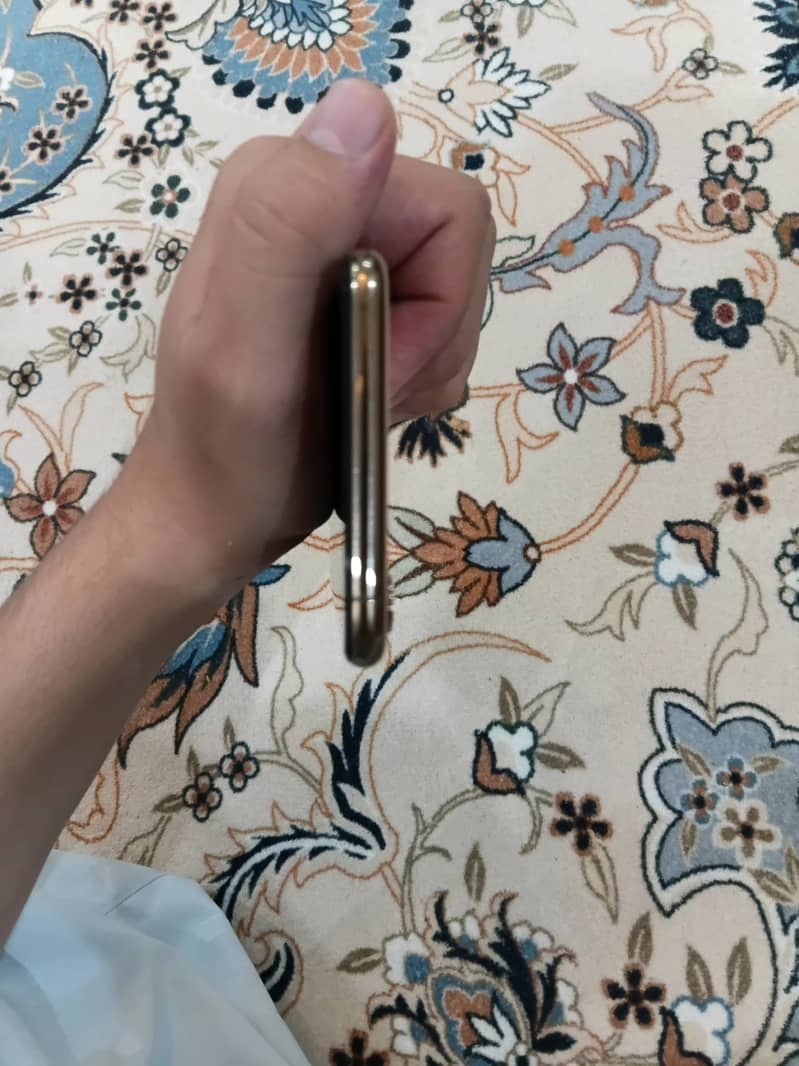 Apple iPhone XS Max 10