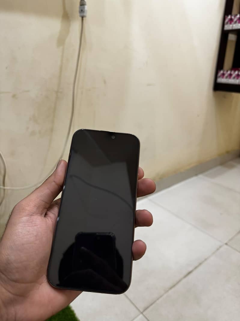 Apple iPhone 16 Pro Max 1