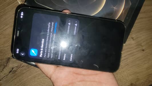 Apple iPhone 12 pormax
