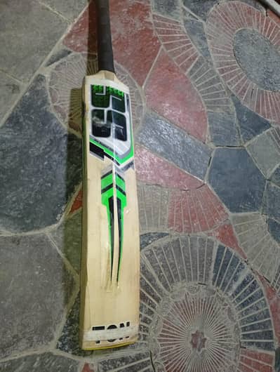 English Willow Cricket Bat