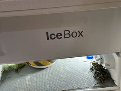10/10 condition