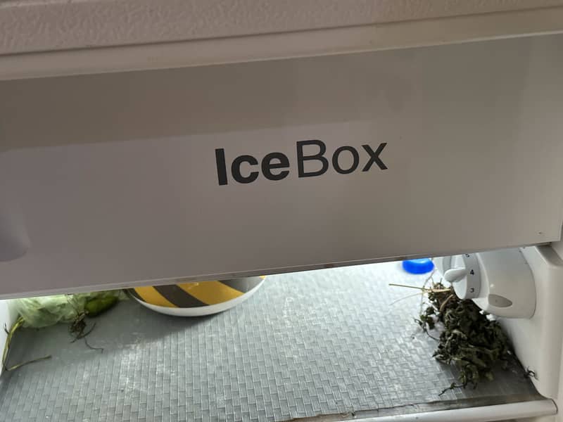 10/10 condition 0