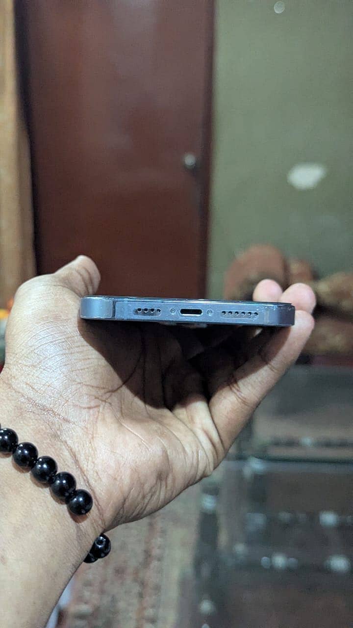Apple iPhone 13 Pro Max 1