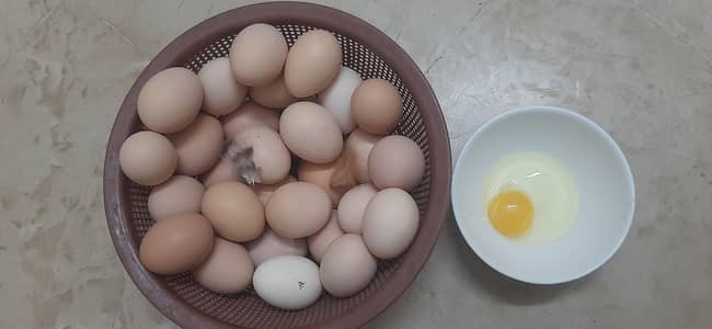 desi eggs /organic eggs /golden miary eggs