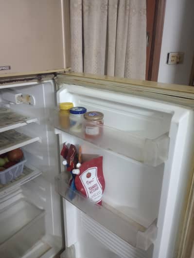 fridge double door