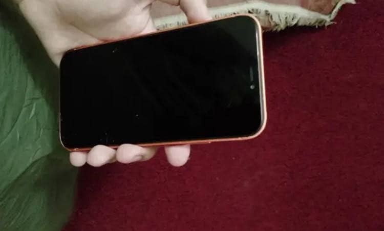 Apple iPhone XR 1