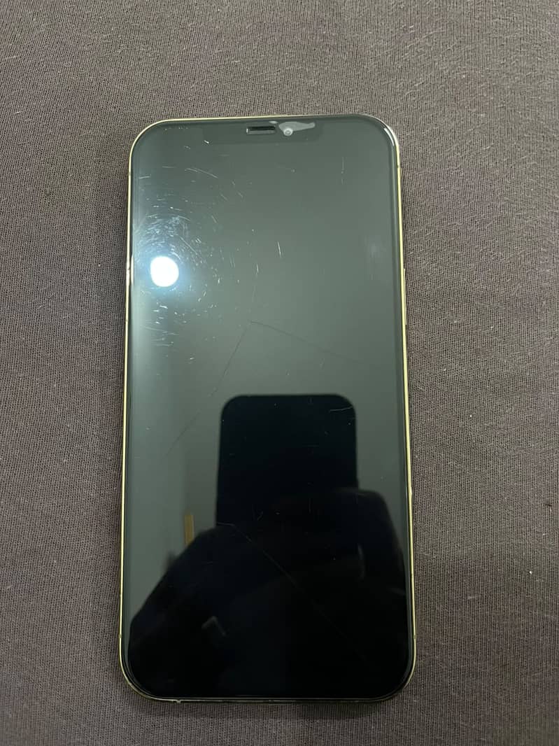 Apple iPhone 12 Pro Max 1