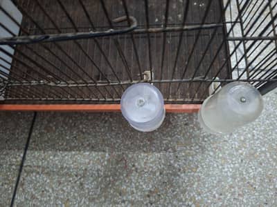 solid iron cage for birds with all Asseceries in very good condition