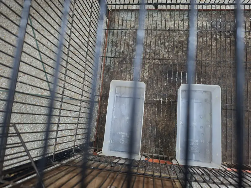 solid iron cage for birds with all Asseceries in very good condition — photo 2