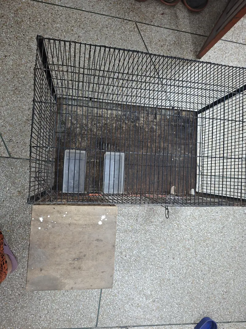 solid iron cage for birds with all Asseceries in very good condition — photo 3