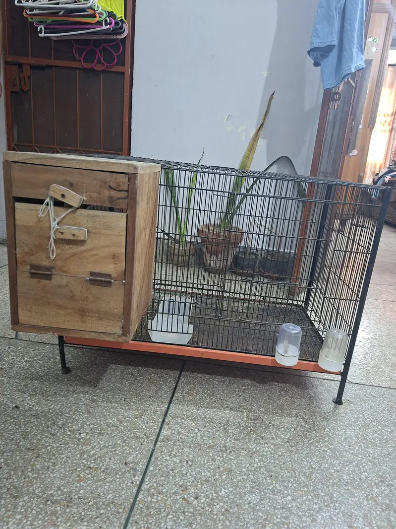 solid iron cage for birds with all Asseceries in very good condition — photo 4