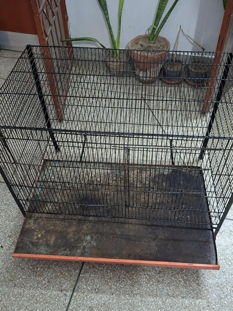solid iron cage for birds with all Asseceries in very good condition — photo 5