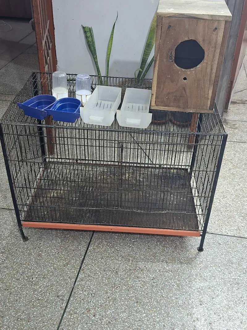 solid iron cage for birds with all Asseceries in very good condition — photo 6