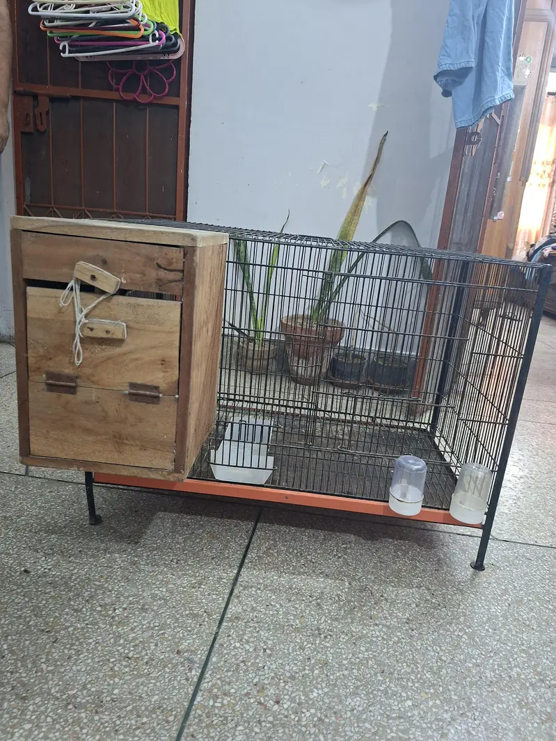 solid iron cage for birds with all Asseceries in very good condition — photo 7