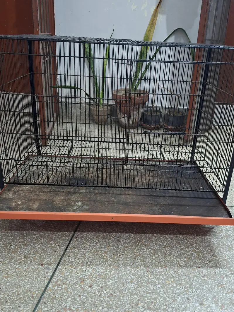 solid iron cage for birds with all Asseceries in very good condition — photo 8