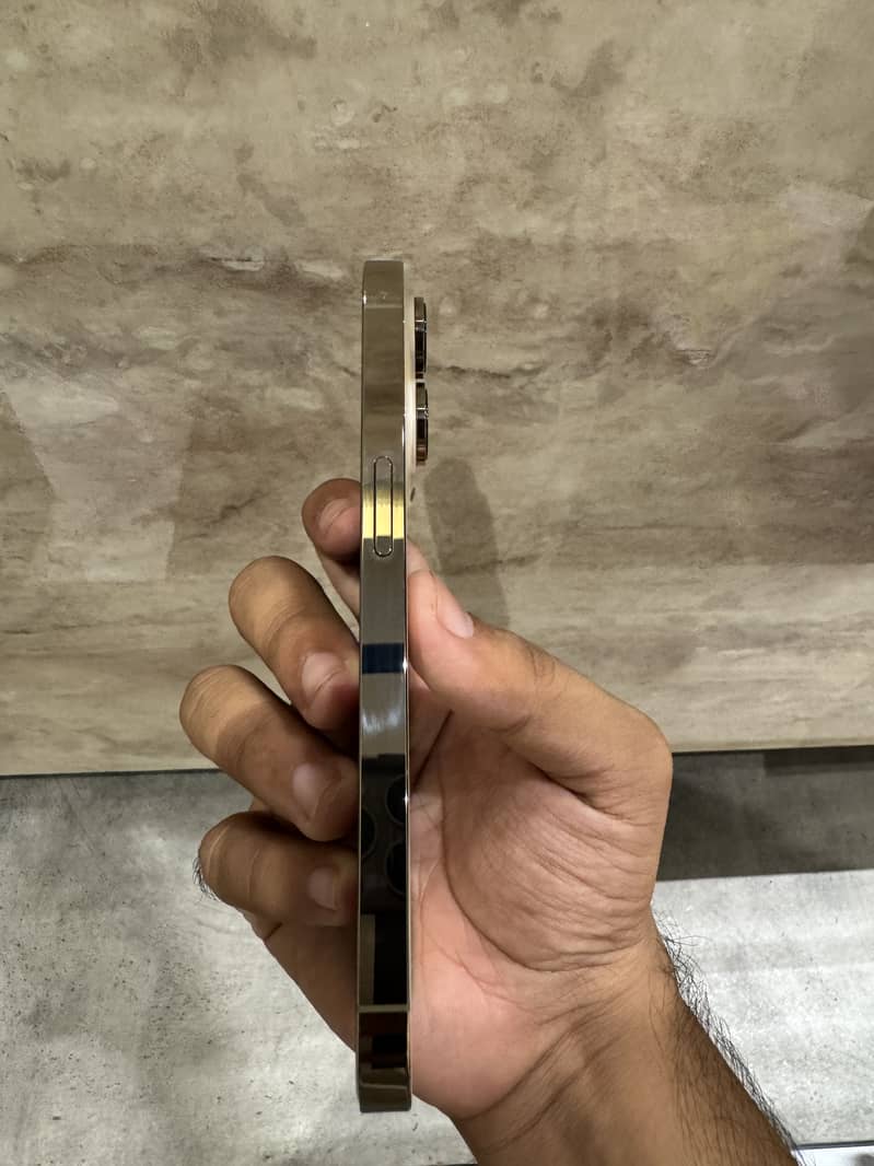 Apple iPhone 14 Pro 1