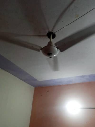 Copper Top Quality Ceiling Fan for Sale