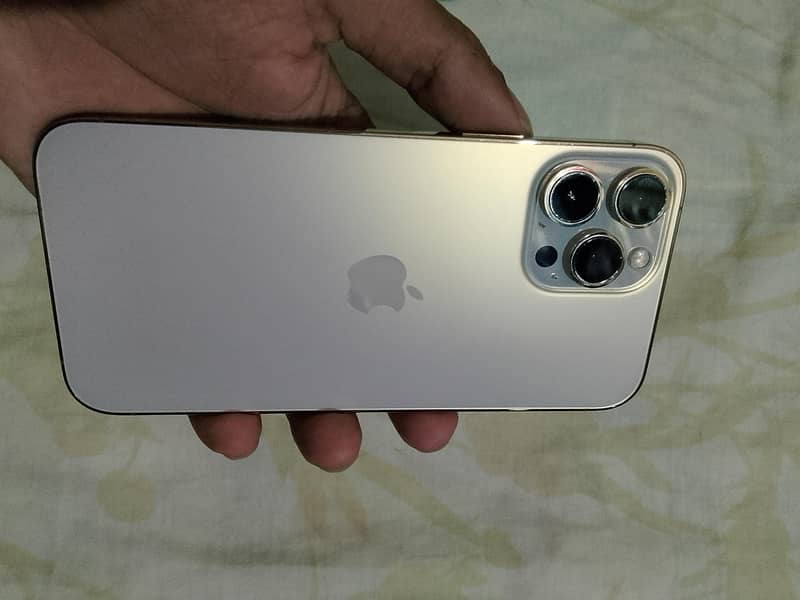 Apple iPhone 13 Pro Max 1
