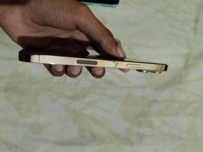 Apple iPhone 13 Pro Max 2
