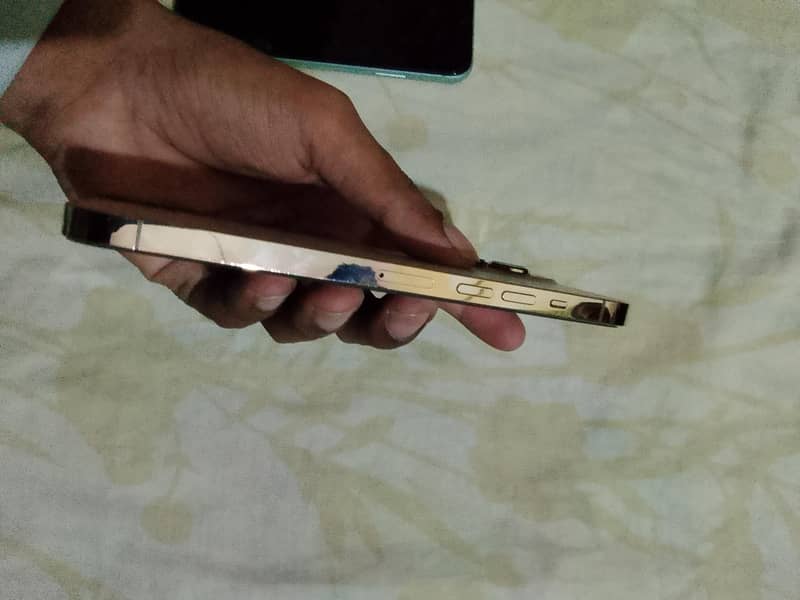 Apple iPhone 13 Pro Max 3