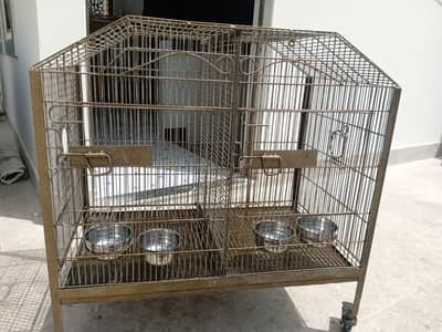 Birds Cage