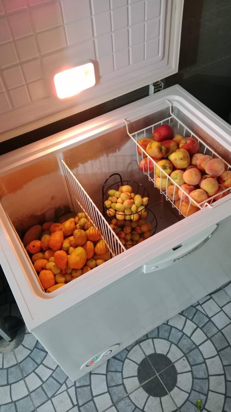 Deep Freezer new 0