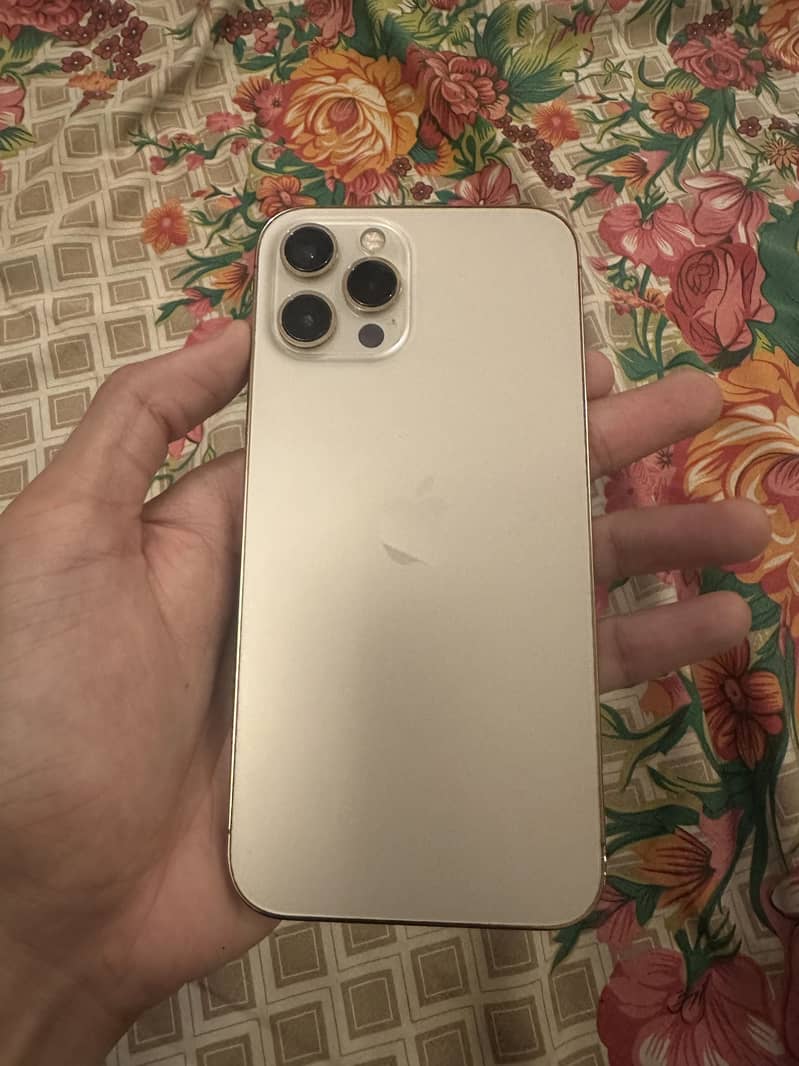 iPhone 12 pro max 1