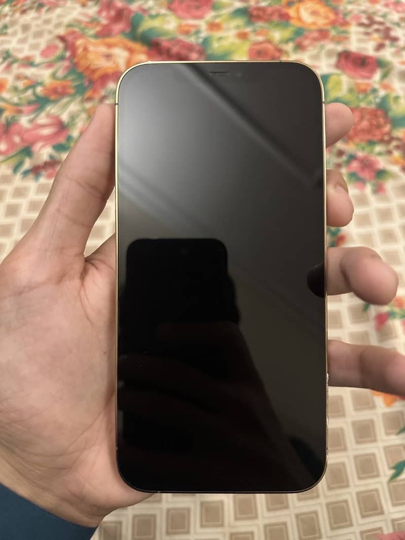 iPhone 12 pro max 2