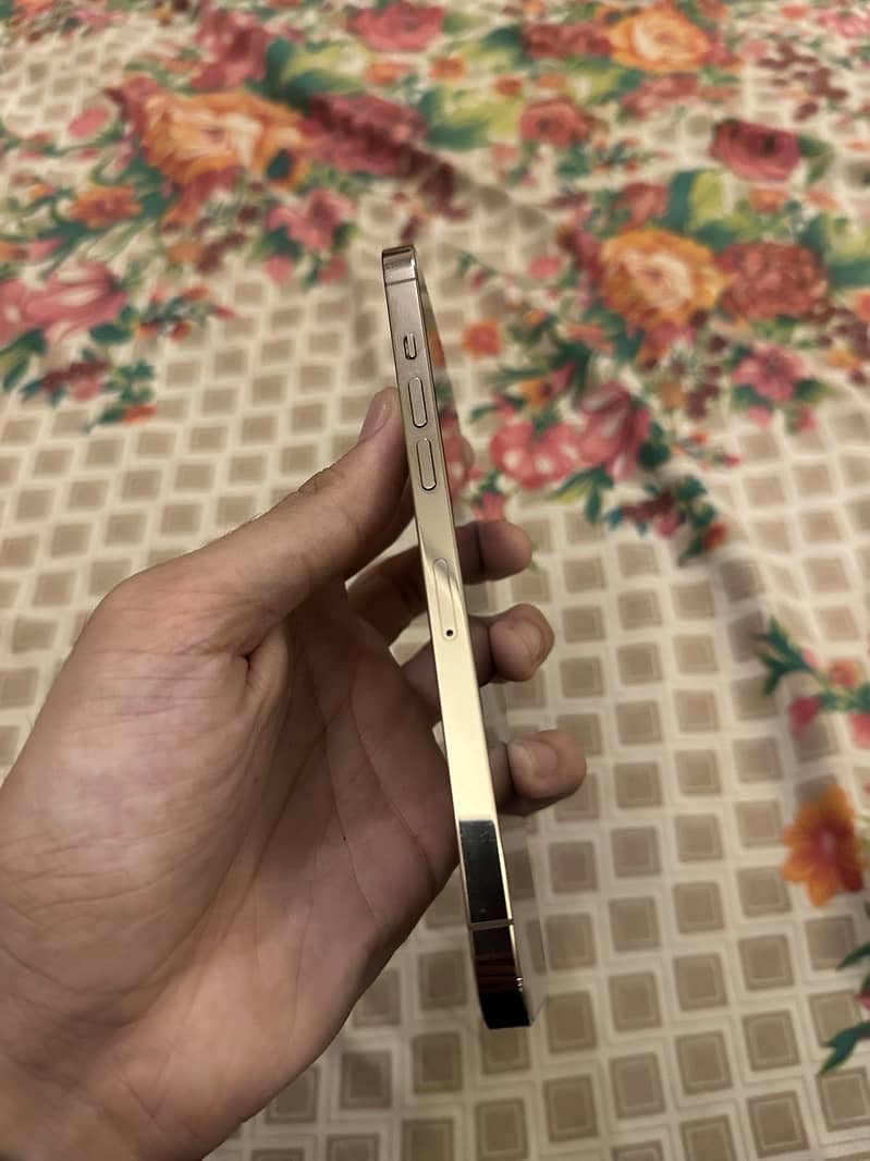 iPhone 12 pro max 3