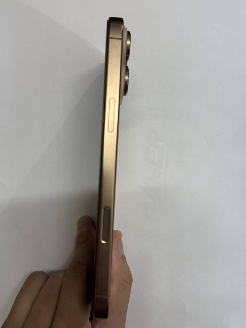 Apple iPhone 16 Pro Max 1