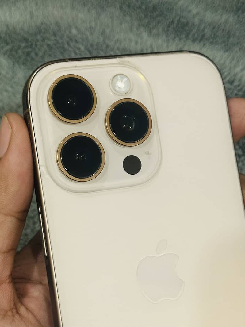 Apple iPhone 16 Pro only display message 3