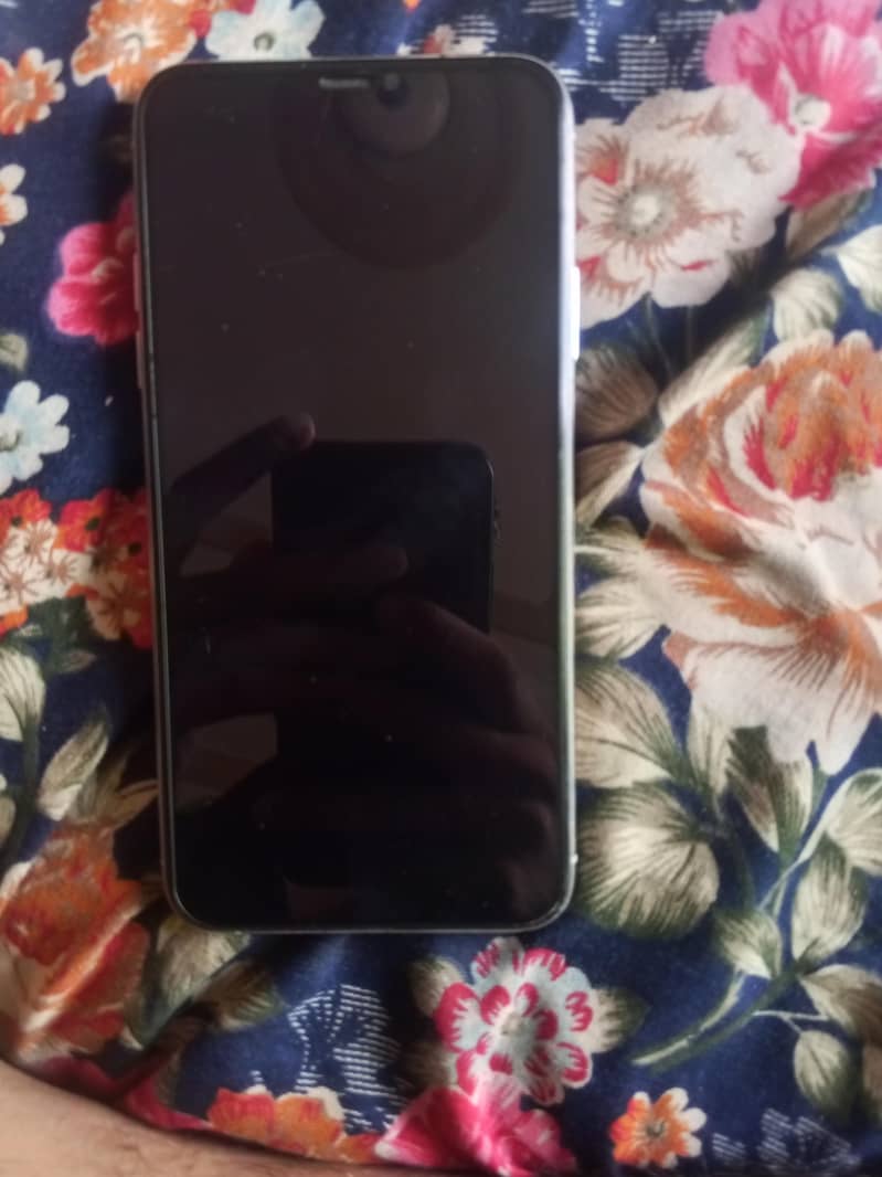 Apple iPhone 11 pro max 1