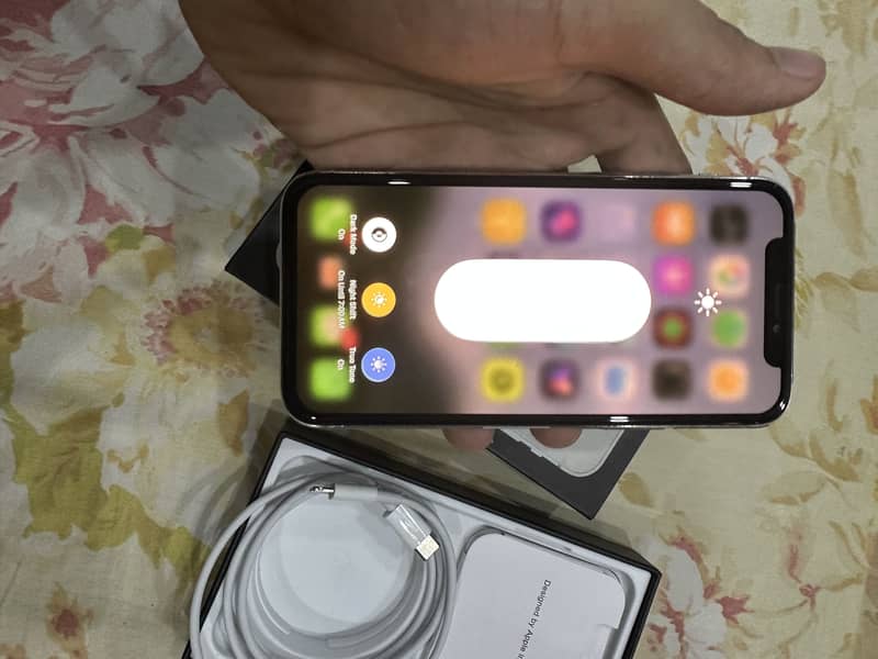Apple iPhone 11 Pro 1