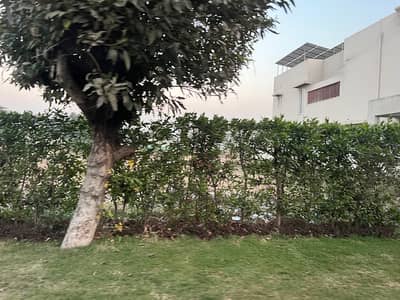1 Kanal Pair Plot No 146+147 Urgent For Sale in DHA Phase 7 Block U Prime Location